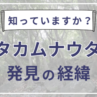 宇野多美恵先生　最後の伝言 知っていますか？カタカムナ発見の経緯｜マノスベシ